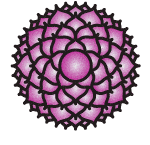 Kruin- of Kroonchakra