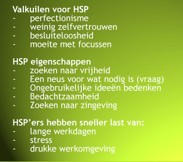 hsp en werk HSP op de werkvloer