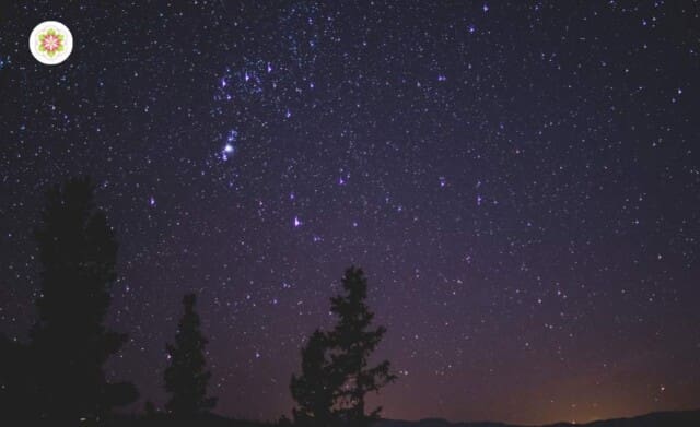 Orion.Kenmerken van degenen die Orion als hun Planetaire oorsprong hebben