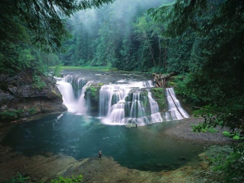 Gifford Pinchot Nationaal Bos, Washington, USA