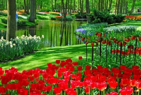 Keukenhof-Nederland