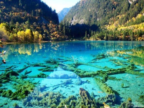 Turquoise-Meer-Jiuzhaigou-Park-China