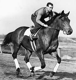 Seabiscuit was een beroemd racepaard uit de Verenigde Staten. Seabiscuit werd een van de grootste kampioenen ooit.