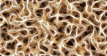 nerves-791393__180