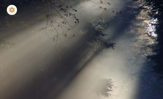 Vals licht: de valstrik van de schijnspiritualiteit