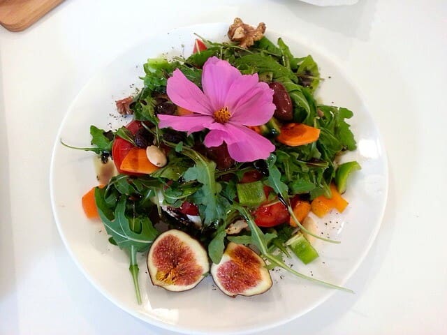 vegetarisme