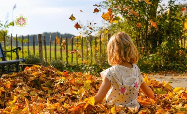 De blije ongeletterde kleuterscholen in Finland