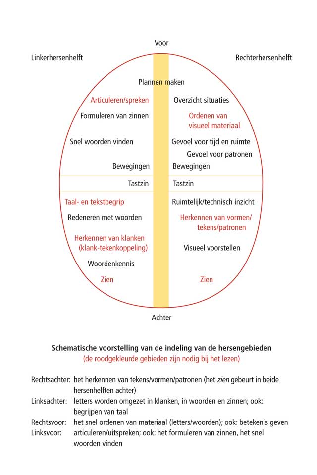 Dyslexie en touwtjespringen