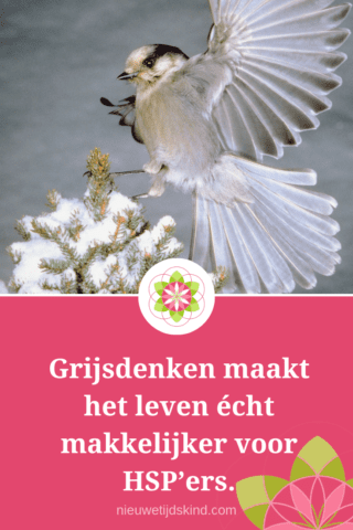 Grijsdenken
