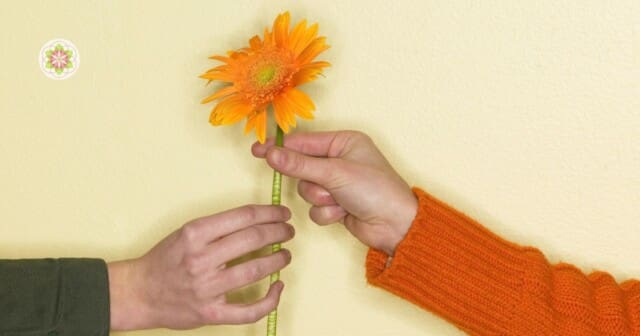 Wat komen we doen op aarde? 1: de Levensles Acceptatie