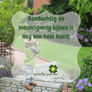 Aandachtig en nieuwsgierig kijken is nog een hele kunst