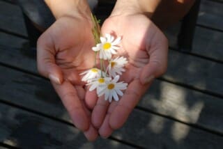liefde