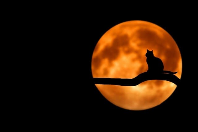 Totale BloedMaansverduistering 21 januari 2019