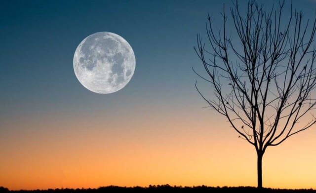 Volle Maan in Boogschutter 17 juni 2019