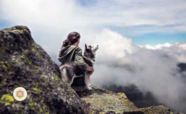 Hoe dieren je kunnen bijstaan in je spirituele ontwikkeling