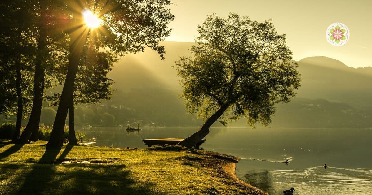 Corona als wake-up call