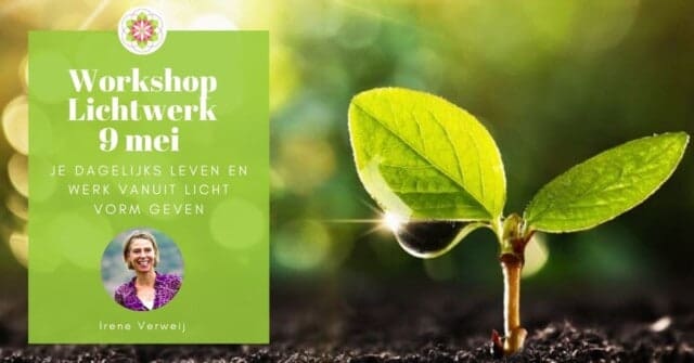 Online workshop