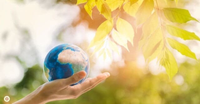 weerstand tegen ziekte