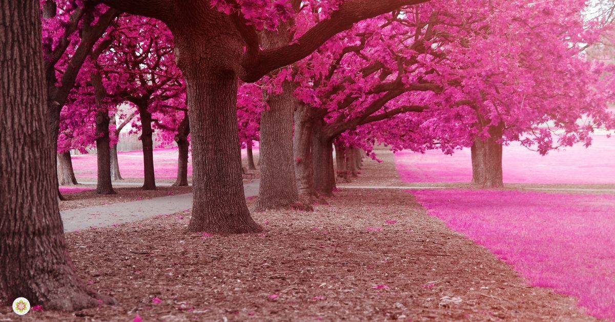 vrienden verloren door je spirituele ontwaking (2)
