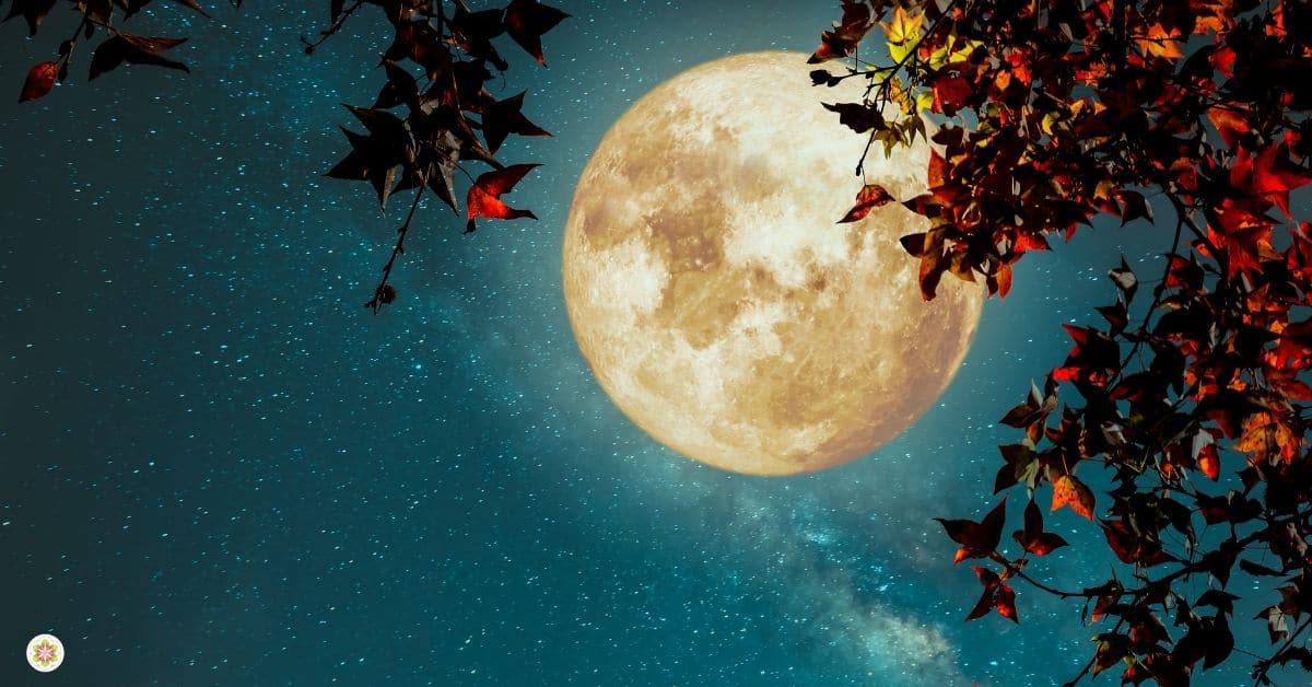 vrienden verloren door je spirituele ontwaking- volle maan