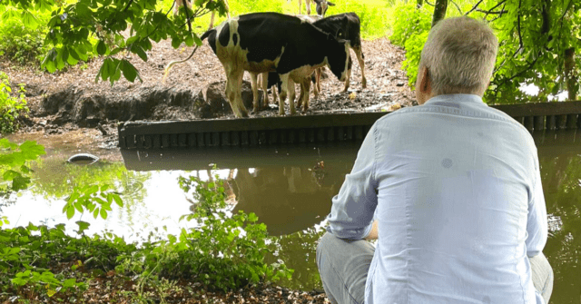 Het verschil tussen liefde en onvoorwaardelijke liefde is tijd