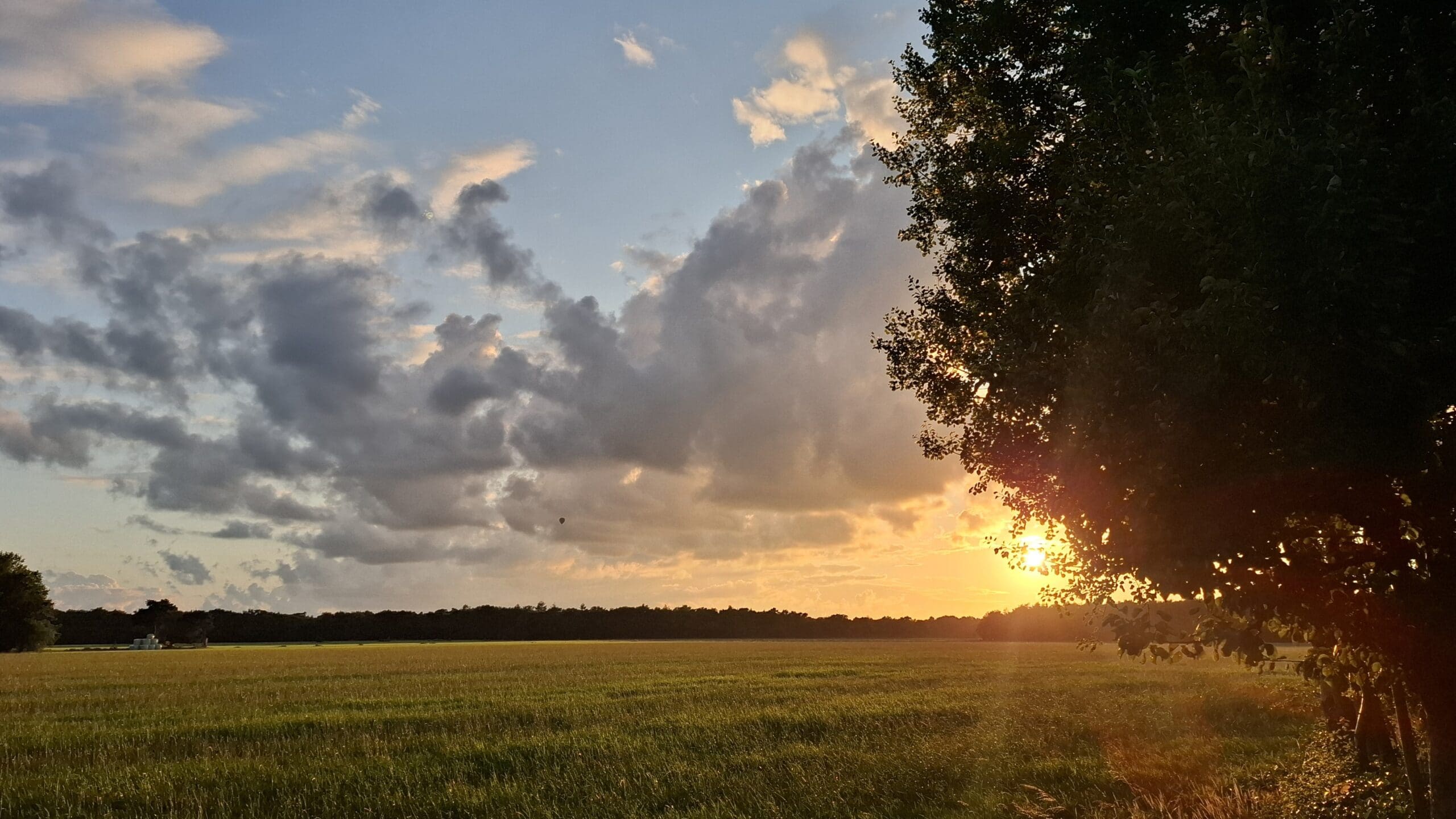 Persoonlijke ontwikkeling